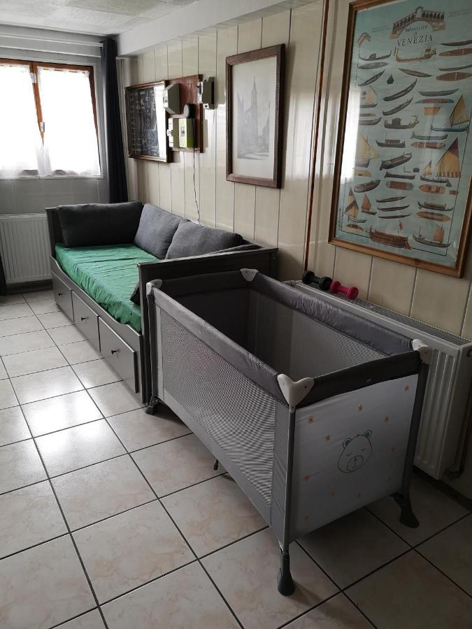 Le Cedre Bleu Hotel Saint-Michel-sur-Meurthe Eksteriør billede