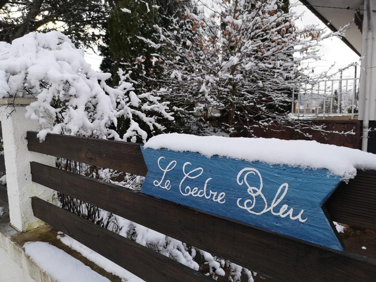 Le Cedre Bleu Hotel Saint-Michel-sur-Meurthe Eksteriør billede